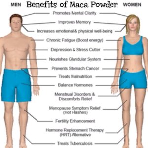 Naturya Organic Maca Rood 2 Powder 300g