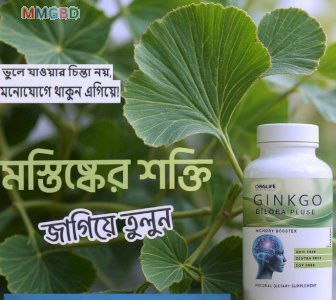 Ginkgo Biloba Plus