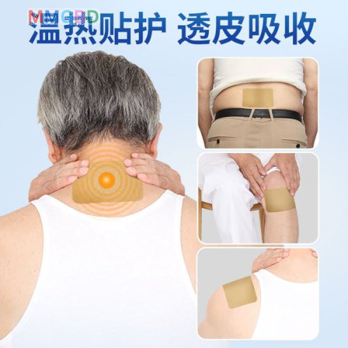 স্থায়ী সমাধান ( 2 packet 12pcs) Japanese Back Pain Relief Patches