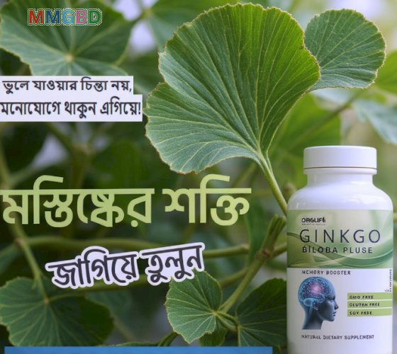 Ginkgo Biloba Plus